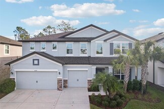 6658 Dutton Dr, Wesley Chapel, FL 33545