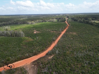 0 County Road 513, Elba, AL 36323