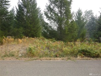 0 Cottonwood Ln, Packwood, WA 98361