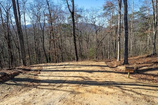 Lot 3 Osprey Mountain Way, Sylva, NC 28779