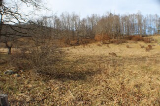 0 Woodrow Rd Unit 22-320, Marlinton, WV 24954