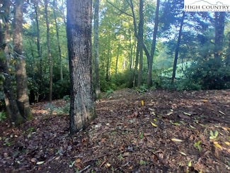 59 Woodpecker Ln, Newland, NC 28657
