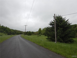 0 Cheningo Solon Pond Rd Unit S1590396, Taylor, NY 13040