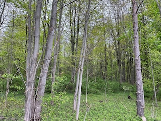 0 Old State Rd Unit 104 R1586509, Sterling, NY 13156