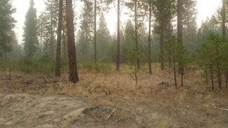 XX Lot 1 Eagle River Way, Kettle Falls, WA 99141