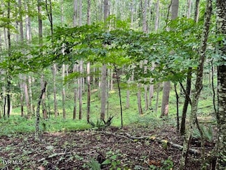 337 Heaton Creek Rd, Roan Mountain, TN 37687