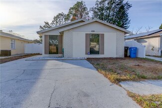 8208 Ravencroft Dr, Tampa, FL 33615
