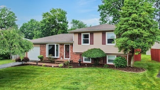 3485 Twillingate Ct, Lexington, KY 40503