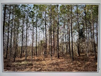 tbd Cr 326, Big Creek, MS 38914