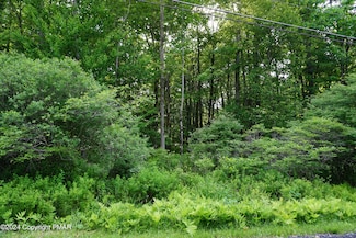 0 Wagner Way, Tobyhanna Township, PA 18347