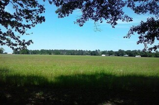 4700 Highway 95a N, Molino, FL 32577