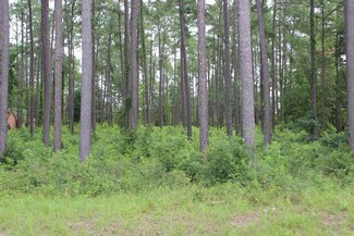 2.12 Acres Us Hwy 19 S, Thomasville, GA 31757