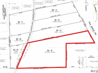 TBD H-4 Pea Ridge Rd, Albany, LA 70711