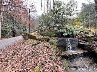 00 Battle Branch Rd, Charleston, NC 28713