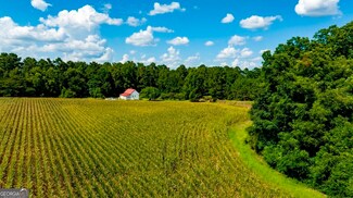227 Barnes Nursery Rd, Bronwood, GA 39826