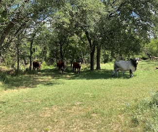 10051 County Road 321, Blanket, TX 76432