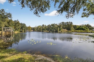 3926 Cove Lake Place, Land O' Lakes, FL 34639