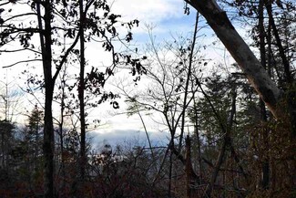 Lot 30 Springbranch Tr, Monroe, VA 22973