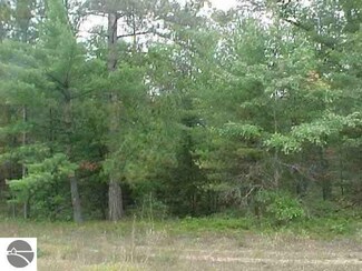0 Rifle River Trail Unit 1784032, Prescott, MI 48756