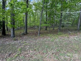 266 Rocky Cove Ln, Denton, NC 27239