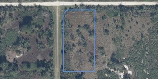 2239 Tarkenton Rd, Avon Park, FL 33825