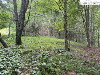 tbd Rominger Rd, Banner Elk, NC 28604