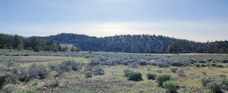 Lot 30 Silver Spur Rd Unit 3, Weed, CA 96094