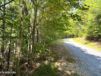 Tract 8 Faith Mtn Way, Hartford, TN 37753