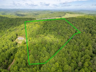 TBD Laurel Fork Rd, Laurel Fork, VA 24352