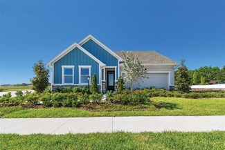 11313 Hardwood Hammock Ln, Riverview, FL 33569