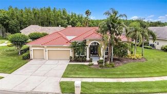 19107 Avenue Bayonnes, Lutz, FL 33558