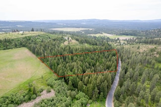 XXX N Schwatchtgen Rd, Chattaroy, WA 99003