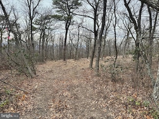 LOT 153 Bobcat Trail, Winchester, VA 22602