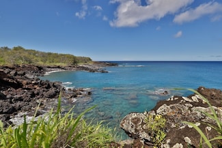 56-101 Pualani Rd, Hawi, HI 96719