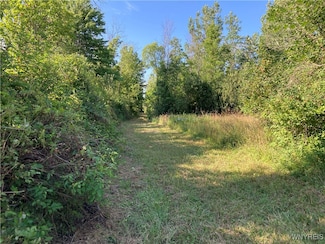 0 Brucker Rd, Newstead, NY 14001