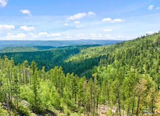 LOT 11 Aventure Loop, Lead, SD 57754