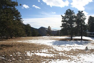 14231 Pt Apex of the Sylvanite, Cripple Creek, CO 80831