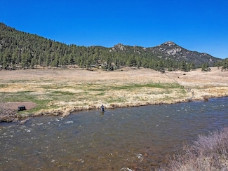 24676 River Meadow Rd, Buffalo Creek, CO 80425