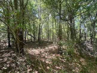 579 Amboy-Rebecca Rd, Rebecca, GA 31783