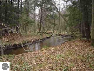Off Read Rd, Copemish, MI 49683