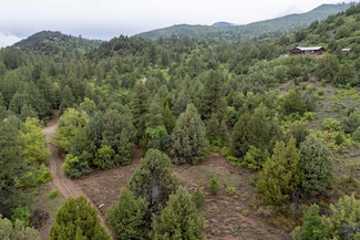 0 E Oak Tree Dr Unit 25-261955, Springdale, UT 84779