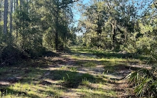 VAC NE Campbell Rd, Chiefland, FL 32621