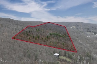 14 College View Rd, Dickinson, NY 13905