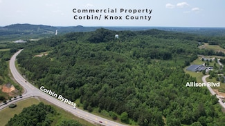 8888 Ky 3041 Bypass & Allison Blvd, Corbin, KY 40701