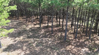 3722 Old Hohenwald Rd, Linden, TN 37096