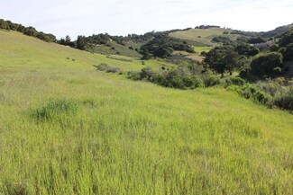 11705 Camino Escondido Rd, Carmel Valley, CA 93924