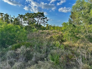 5950 Sandal Ln, Bokeelia, FL 33922