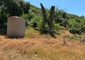 0 San Francisquito Canyon Rd Unit 25000650, Green Valley, CA 93536