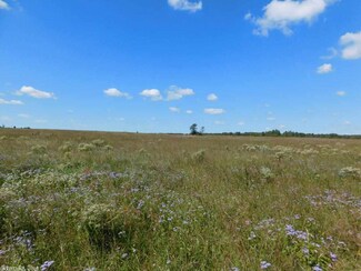 0 Highway 115 Unit 15029953, Smithville, AR 72466