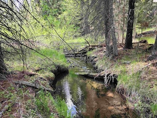 141 Berts Way, Yaak, MT 59935